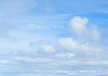 20230503_111524 (Large).jpg (796547 bytes)